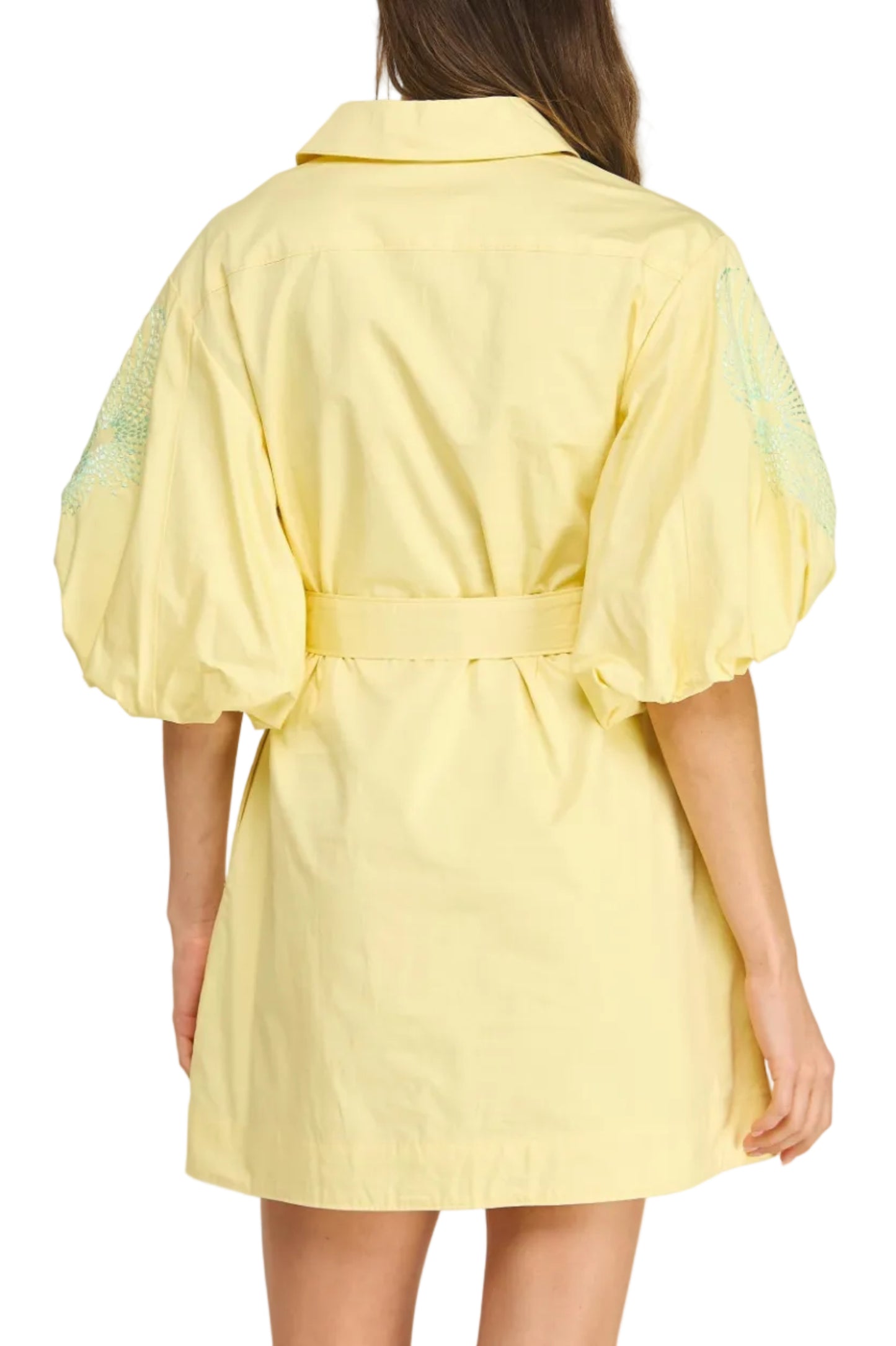 Kristen Embroidered Puff Sleeve Mini Dress in Butter/Beach Glass