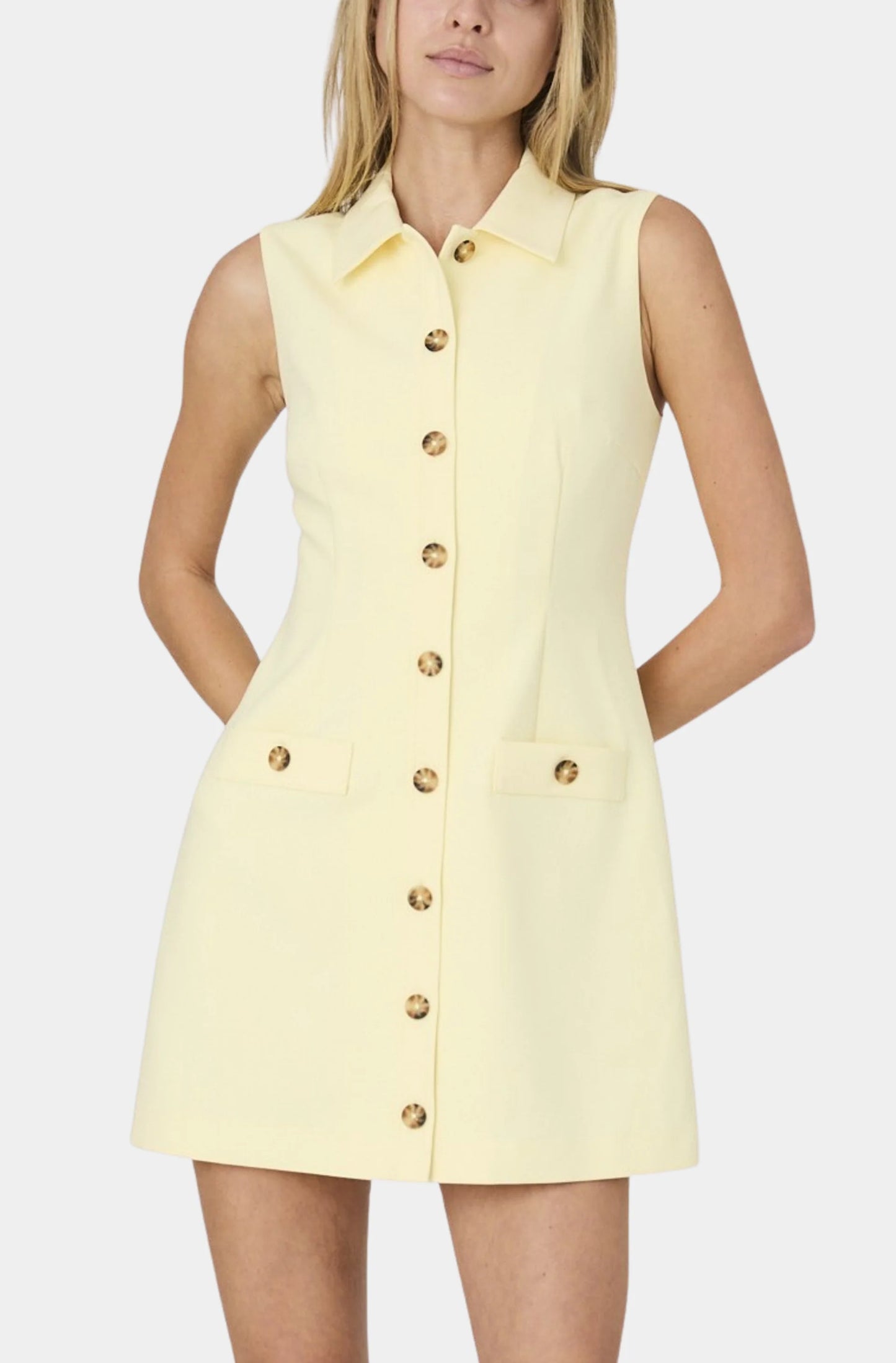 French Connection Azra Twill Sleeveless Button Dress