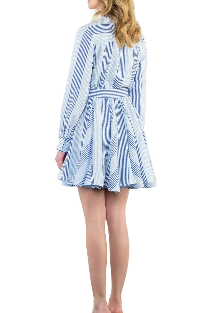 Sophia Long Sleeve Mini Dress