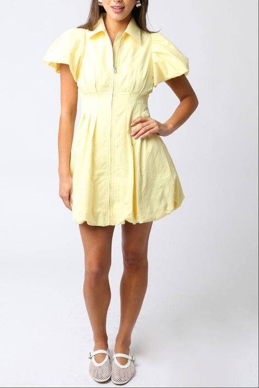 Aubrie Puff Sleeve Mini Dress