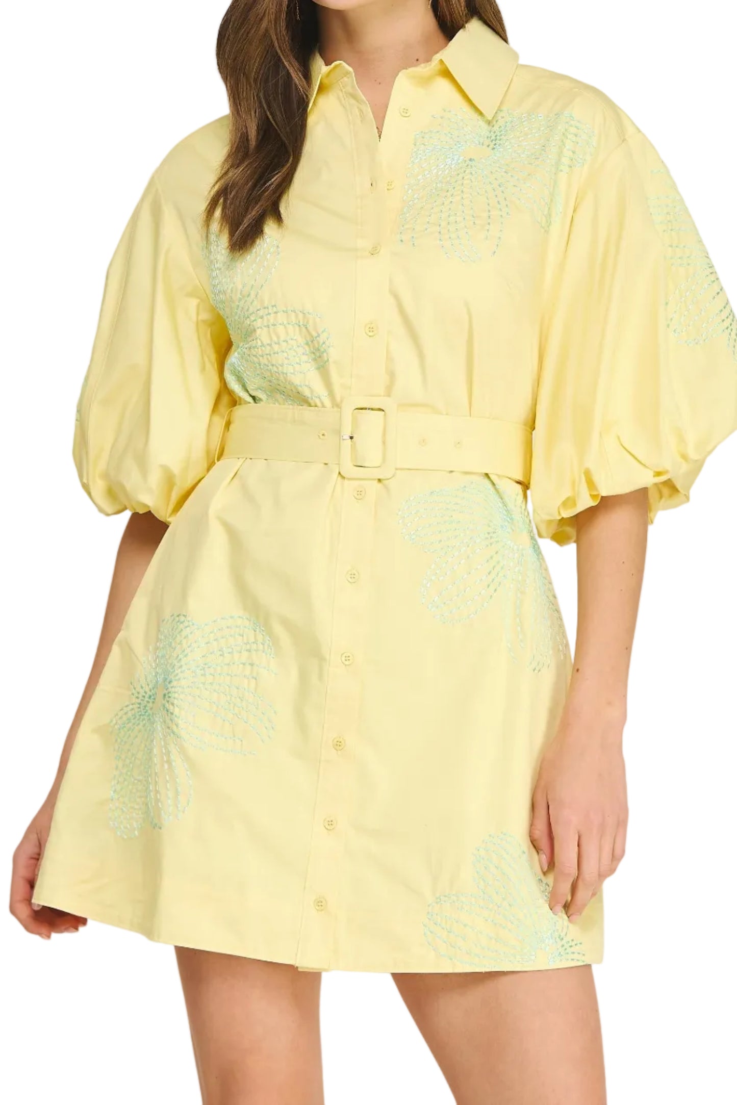 Kristen Embroidered Puff Sleeve Mini Dress in Butter/Beach Glass