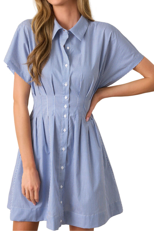 Stormie Pleated Mini Dress
